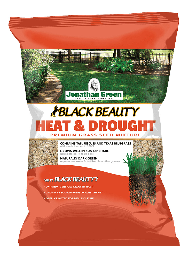 Unlock a Superior Lawn: Why Black Beauty Grass Seed Excels